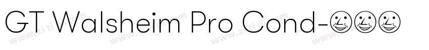 GT Walsheim Pro Cond字体转换